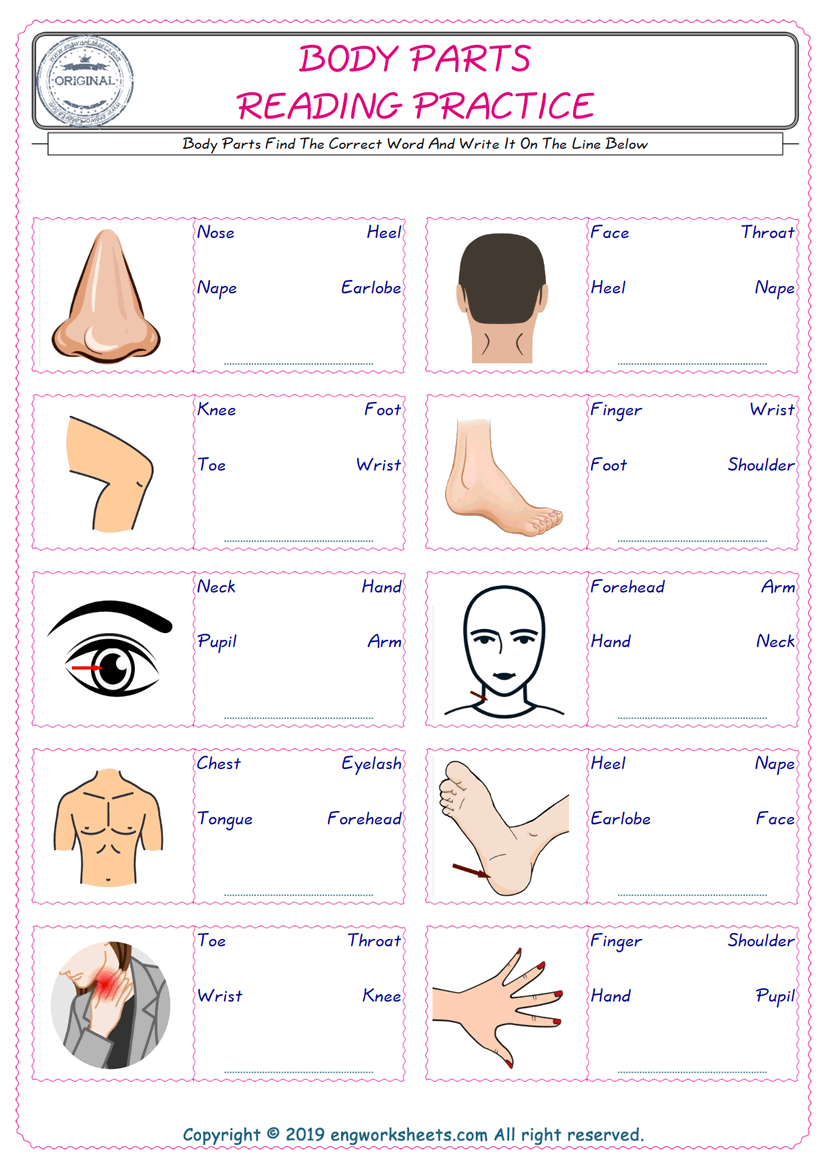 body-parts-esl-printable-english-vocabulary-worksheets